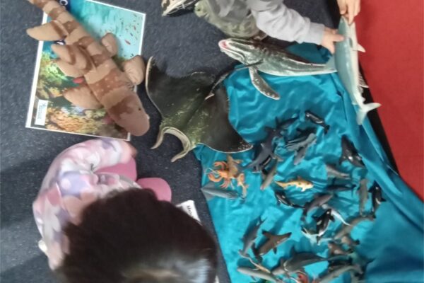 Early Years Learning Framework - Kuraby Early Learning Centre
