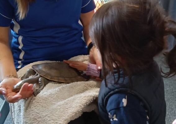 Early Years Learning Framework - Kuraby Early Learning Centre