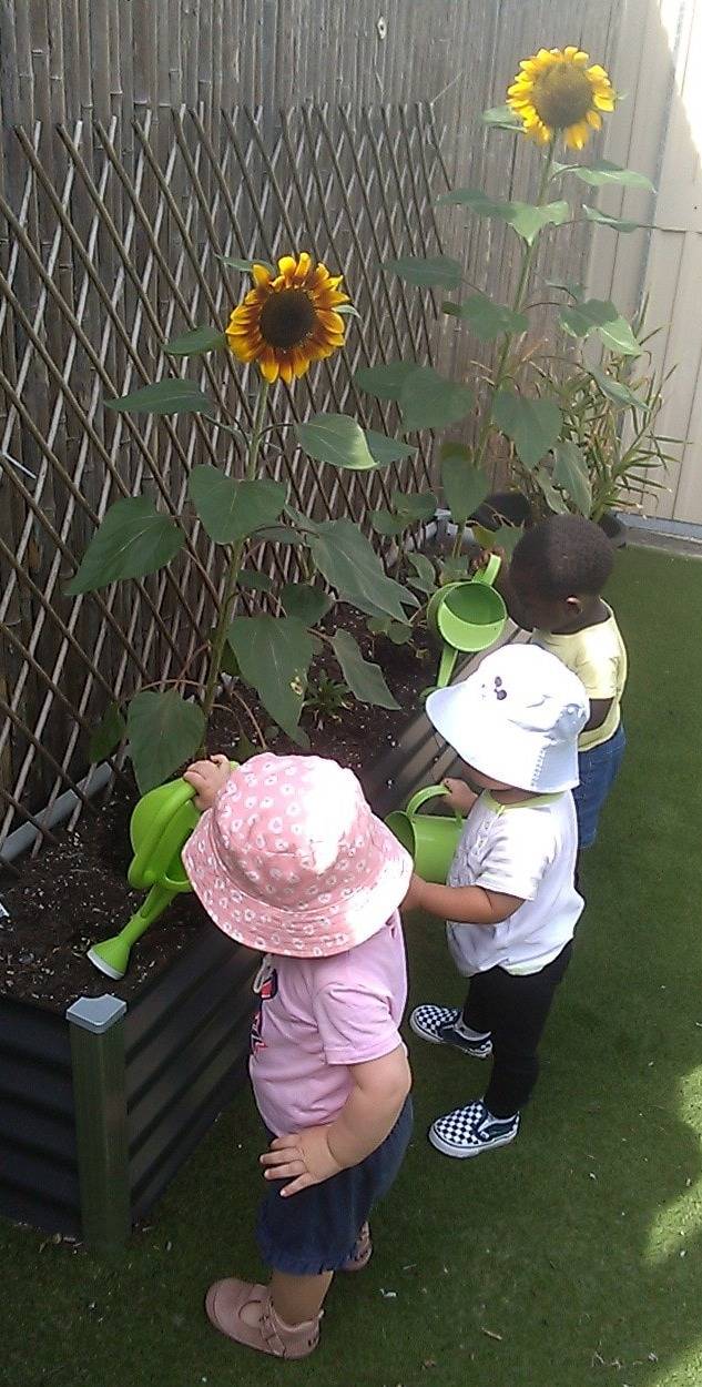 Early Years Learning Framework - Kuraby Early Learning Centre