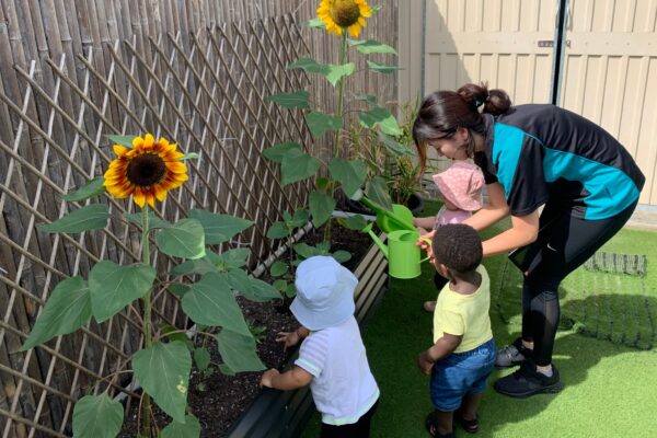 Early Years Learning Framework - Kuraby Early Learning Centre
